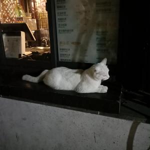 手机在线性爱片
